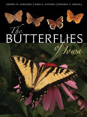 cover image of The Butterflies of Iowa